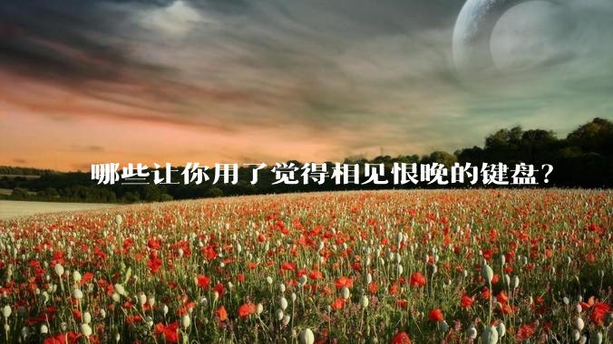 哪些让你用了觉得相见恨晚的键盘？