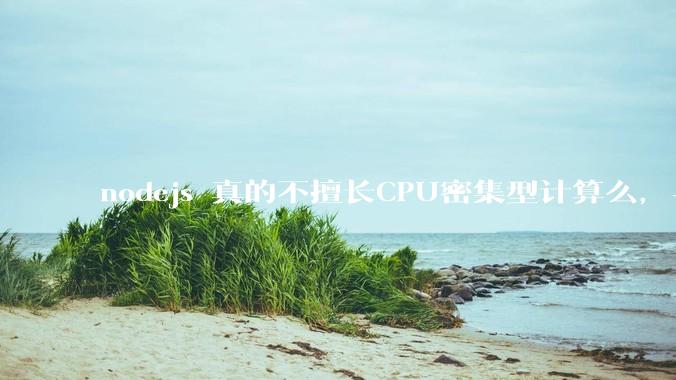 nodejs 真的不擅长CPU密集型计算么，与c++或者 rust 差别有多大？