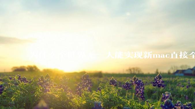 为什么全世界无一人能实现新mac直接全功能稳定装Win 11 arm，或PC直接装macOS arm？