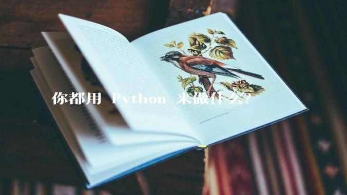 你都用 Python 来做什么？